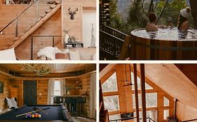 Sd Home Of The Year Luxe Aframe Chalet W Views